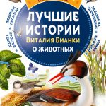 Russian Children’s Folk Tales eBook by АСТ Illustrated Animal Stories-0